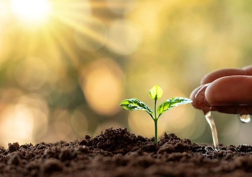 Ventajas del Agua de Pozo Profundo para riego de plantas